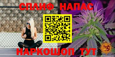 крисы Шахты
