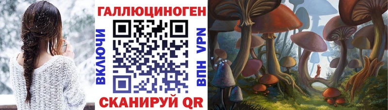 Галлюциногенные грибы Cubensis  Северск 