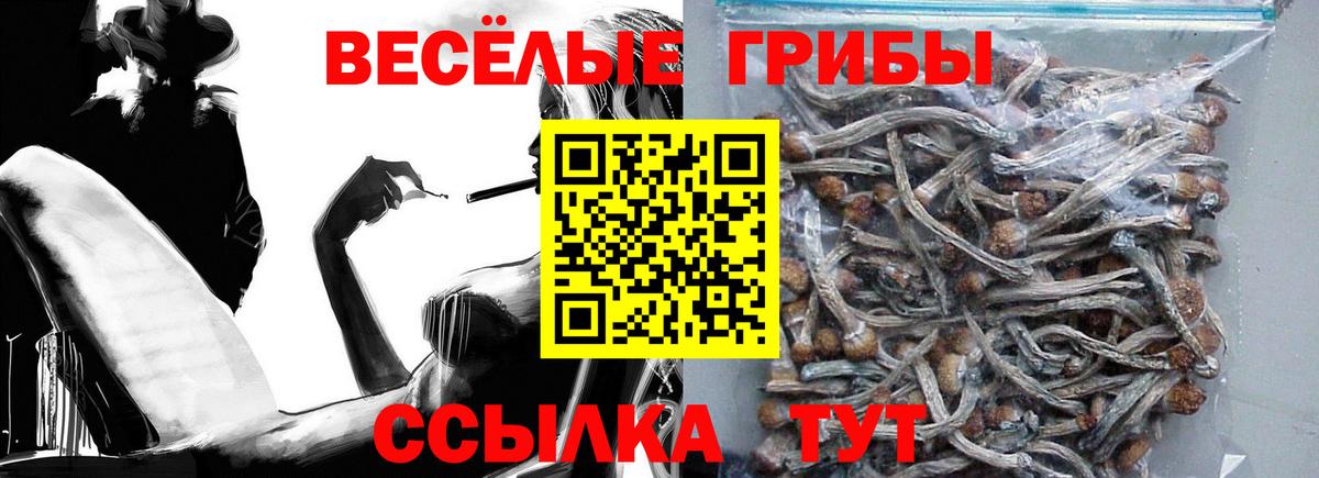 Псилоцибиновые грибы MAGIC MUSHROOMS Северск